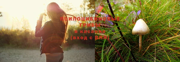 спиды Верхний Тагил