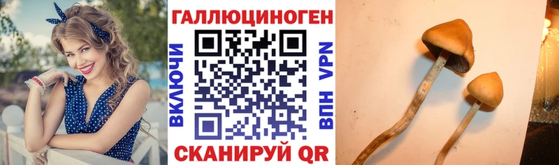 Галлюциногенные грибы MAGIC MUSHROOMS Николаевск